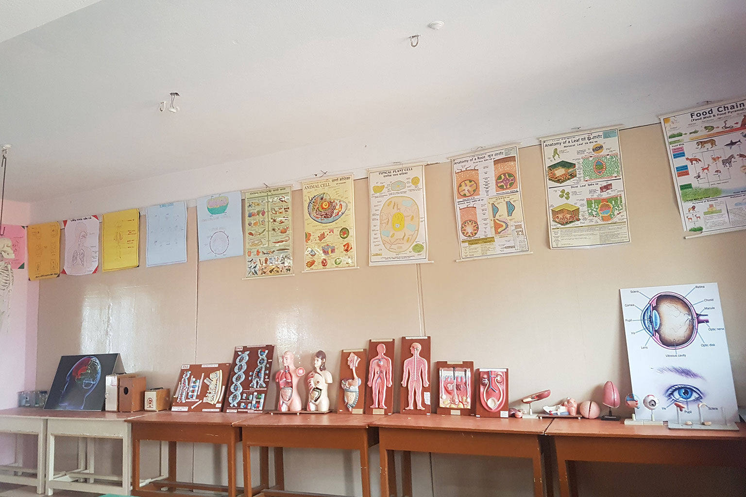 Jainee College of Education